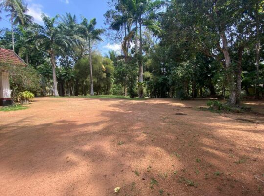 well-cultivated land with Walawwa-style house for sale in Nittambuwa