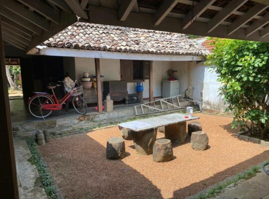 well-cultivated land with Walawwa-style house for sale in Nittambuwa