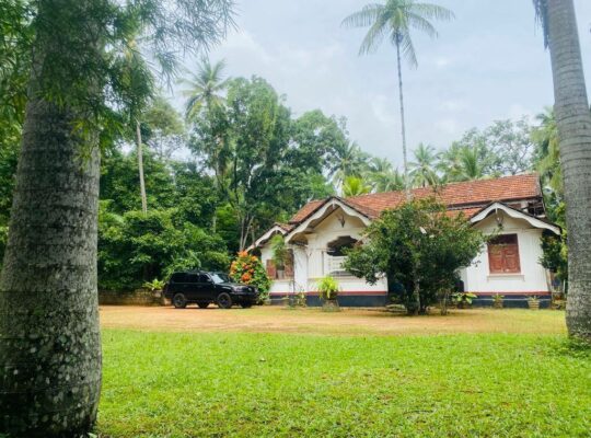 well-cultivated land with Walawwa-style house for sale in Nittambuwa