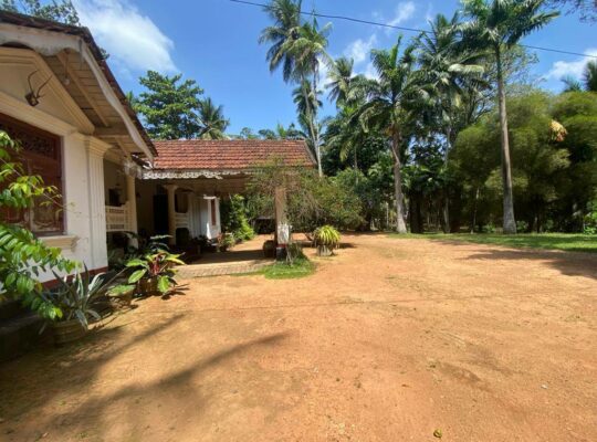 well-cultivated land with Walawwa-style house for sale in Nittambuwa