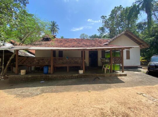 well-cultivated land with Walawwa-style house for sale in Nittambuwa