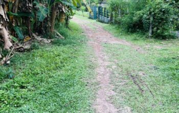 House for sale in Minuwangoda