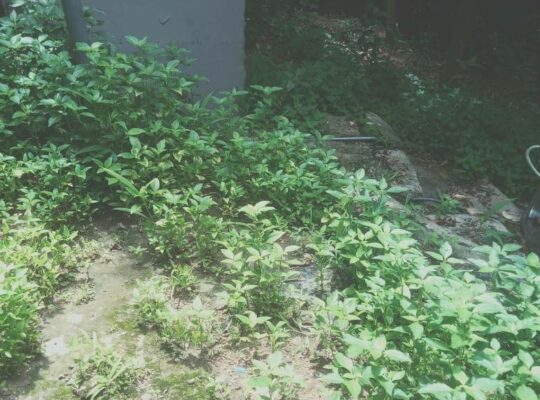 URGENT – Land for sale in Kadawatha