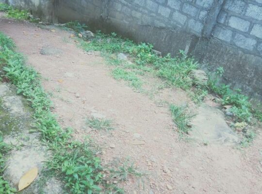 URGENT – Land for sale in Kadawatha