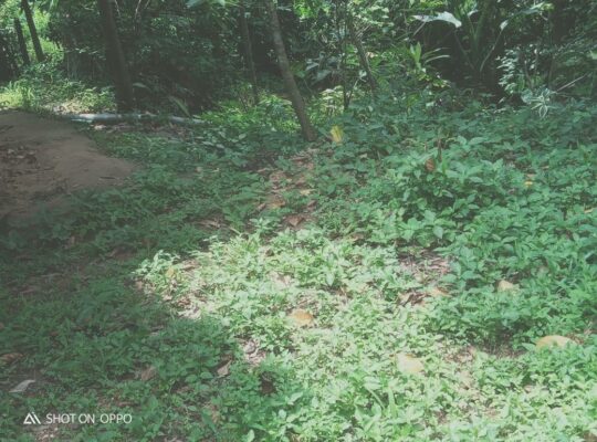 URGENT – Land for sale in Kadawatha