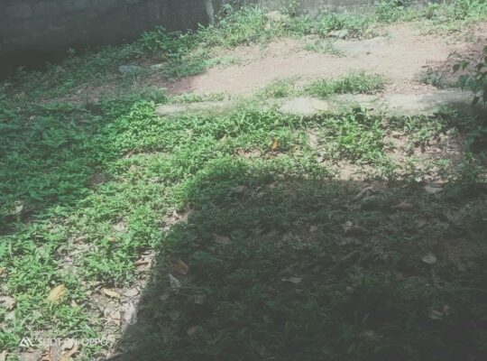 URGENT – Land for sale in Kadawatha