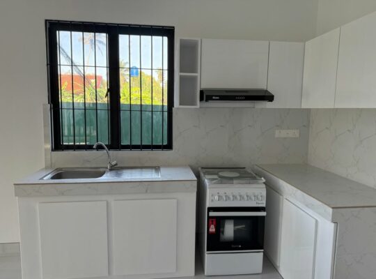 Brand New Luxury Modern House For Sale In Mudukatuwa Marawila