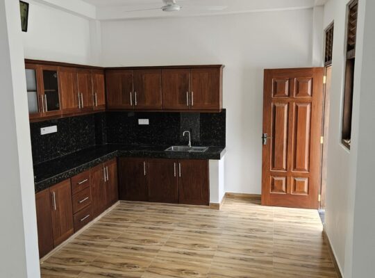 Brand new house for sale in Piliyandala