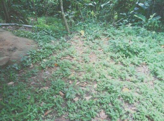URGENT – Land for sale in Kadawatha