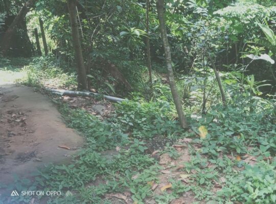 URGENT – Land for sale in Kadawatha