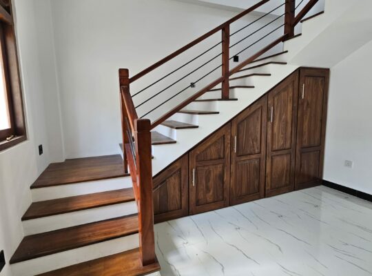 Brand new house for sale in Piliyandala