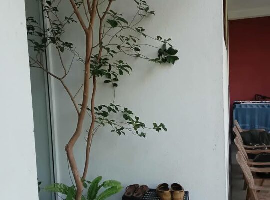 House for sale in Nittambuwa