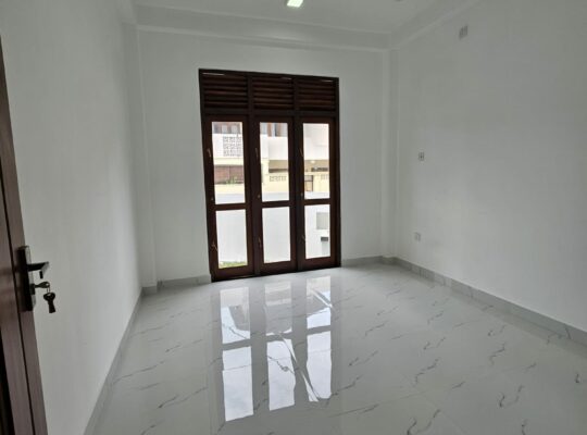 Brand new house for sale in Piliyandala