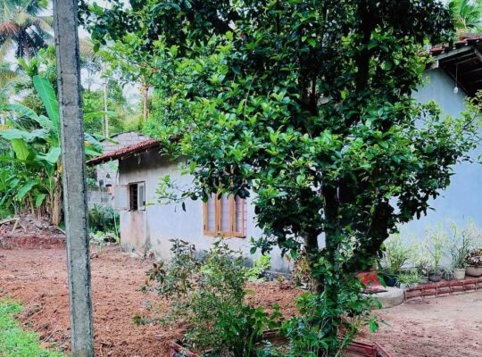 House for sale in Minuwangoda