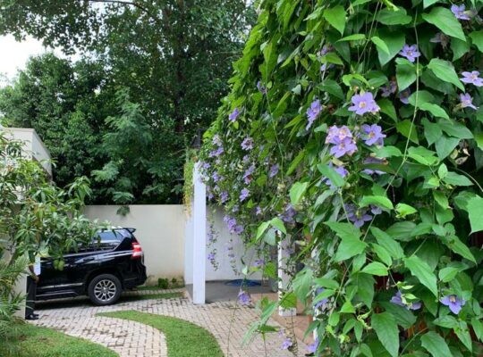 Super luxury house for sale in Battaramulla