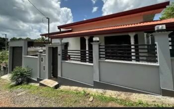 Brand New House for sale in Gonapola