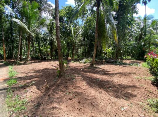 Land sale in Nittambuwa – Veyangoda road