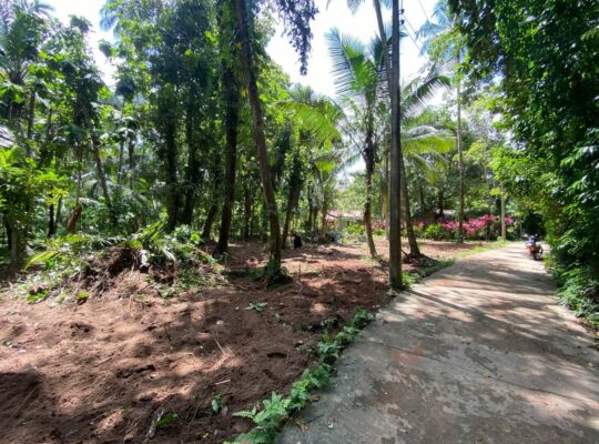 Land sale in Nittambuwa – Veyangoda road