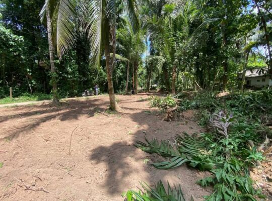 Land sale in Nittambuwa – Veyangoda road