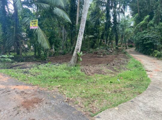 Land sale in Nittambuwa – Veyangoda road