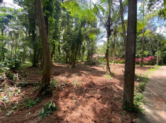 Land sale in Nittambuwa – Veyangoda road
