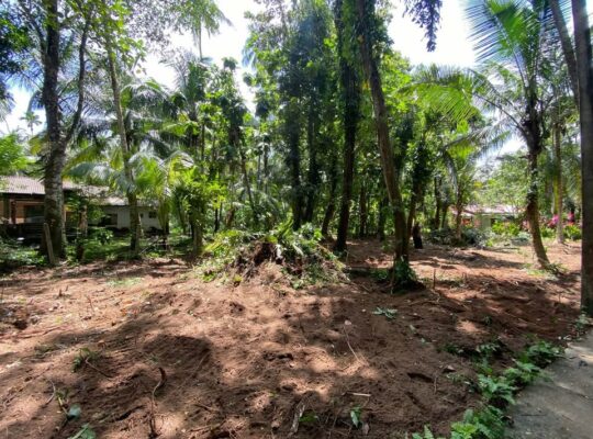 Land sale in Nittambuwa – Veyangoda road