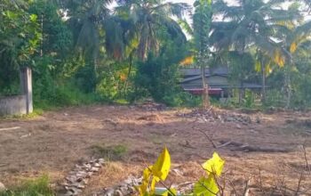 Land for sale in Embilipitiya