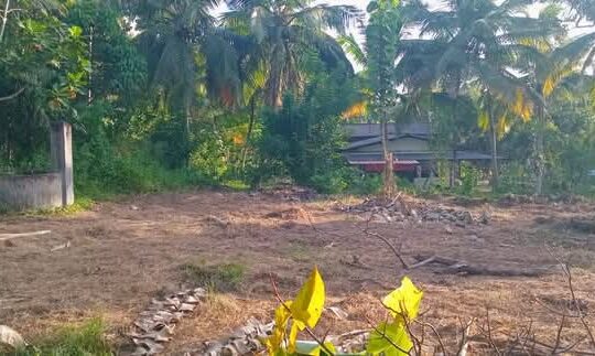 Land for sale in Embilipitiya