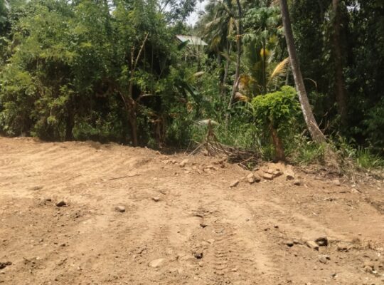land for sale in bibile