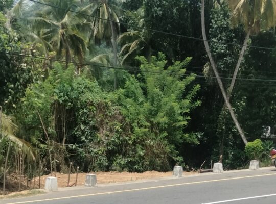 land for sale in bibile