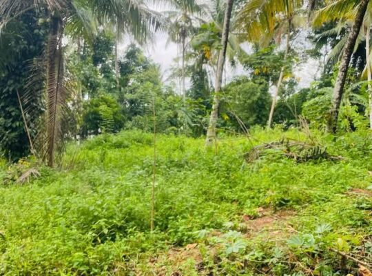 Land for sale in Embilipitiya