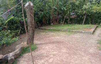 Land For Sale in Beruwala