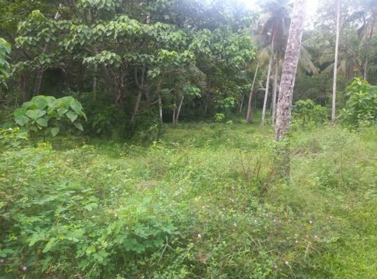 Land for sale in Embilipitiya