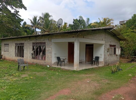 House for sale in Andiambalama