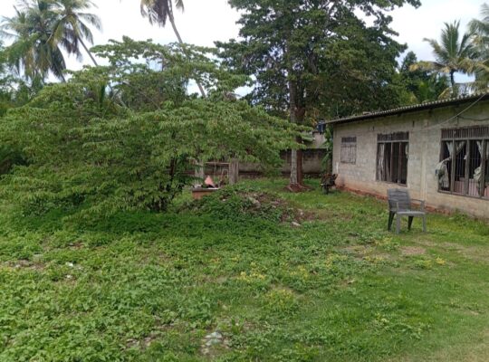 House for sale in Andiambalama